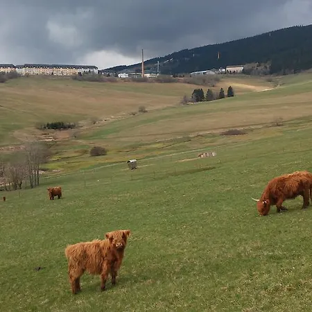 Apartment Familie Leupold Oberwiesenthal