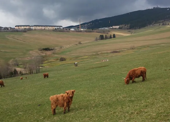 Appartement Familie Leupold Oberwiesenthal